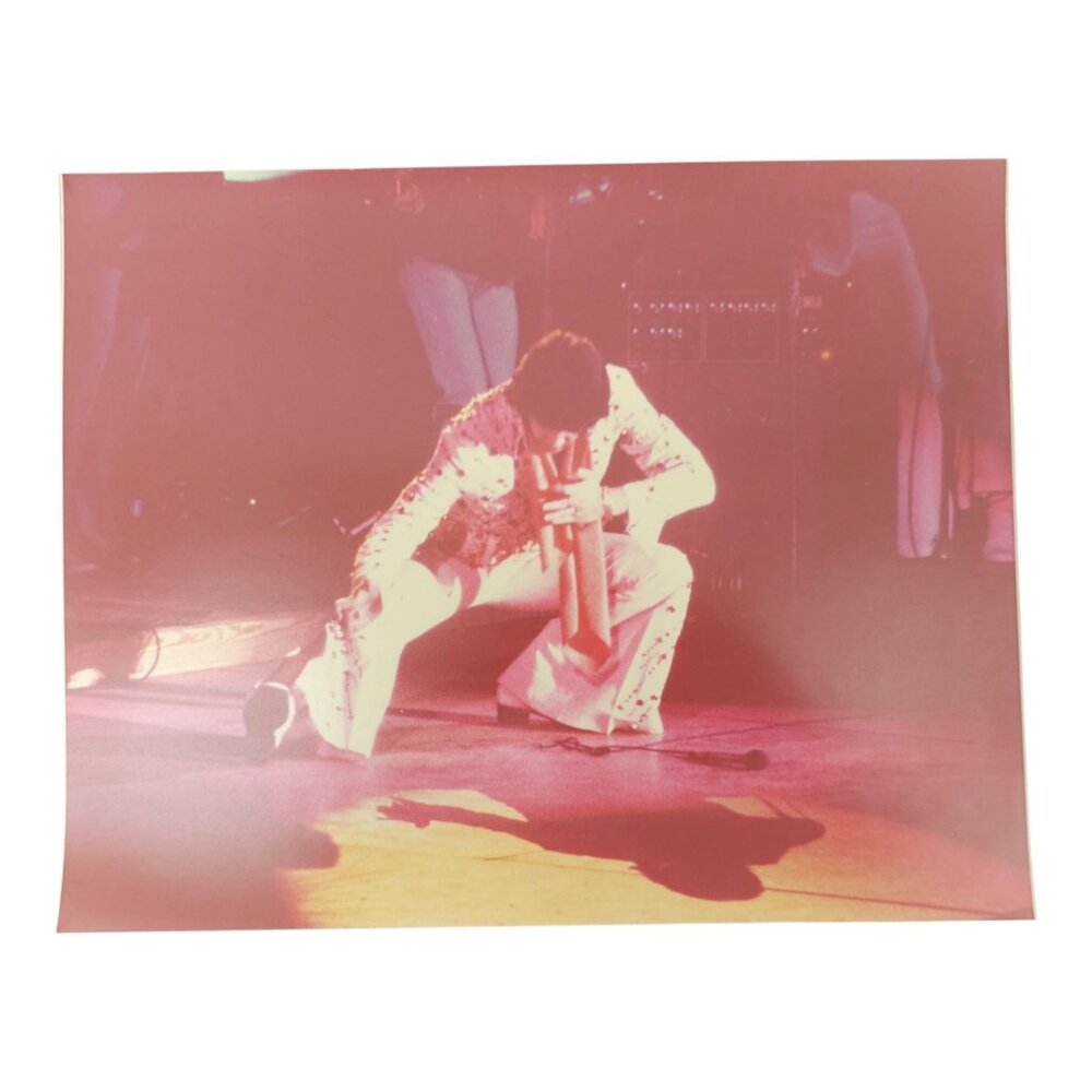 Elvis Presley Orange Sunburst 8x10 Photo Raised On Rock Karate Pose George Hill
